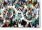 Owl Eyes II - Greeting Card