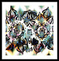Owl Eyes II - Framed Print