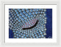 Pearls - Framed Print