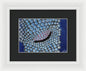 Pearls - Framed Print
