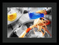 Scampi - Framed Print
