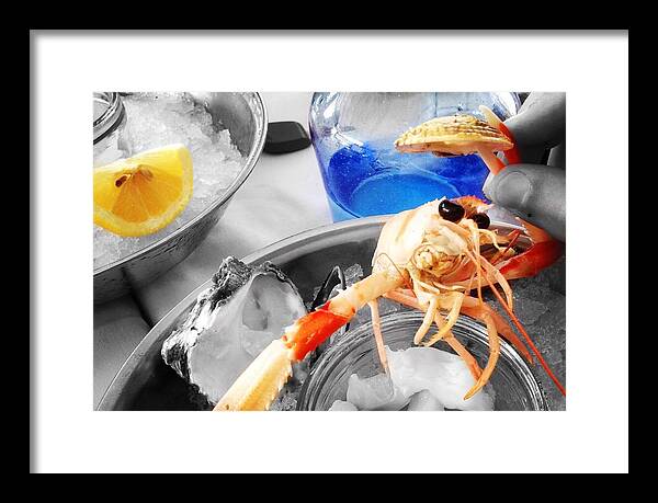 Scampi - Framed Print