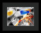 Scampi - Framed Print