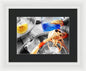 Scampi - Framed Print