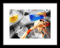 Scampi - Framed Print