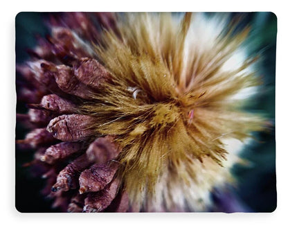 Seed Pod - Blanket