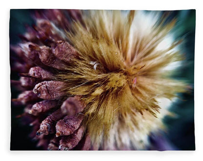 Seed Pod - Blanket