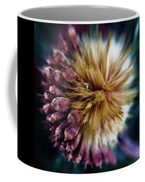 Seed Pod - Mug