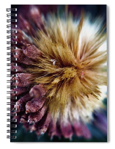 Seed Pod - Spiral Notebook