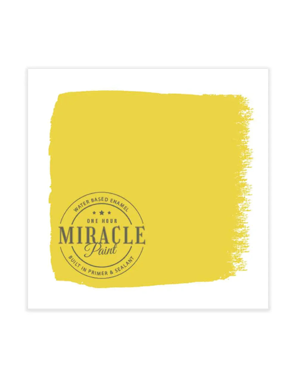 Miracle Paint Bundle