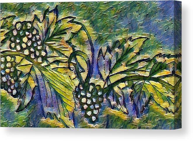 The Grape Vine - Canvas Print