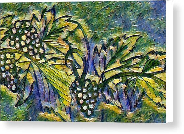 The Grape Vine - Canvas Print