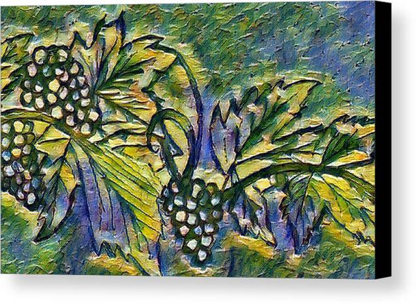 The Grape Vine - Canvas Print