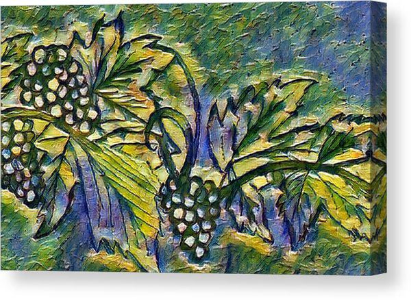 The Grape Vine - Canvas Print