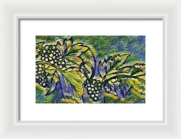 The Grape Vine - Framed Print