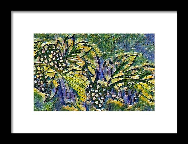 The Grape Vine - Framed Print