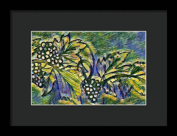 The Grape Vine - Framed Print