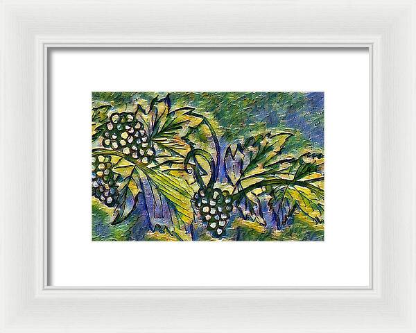 The Grape Vine - Framed Print