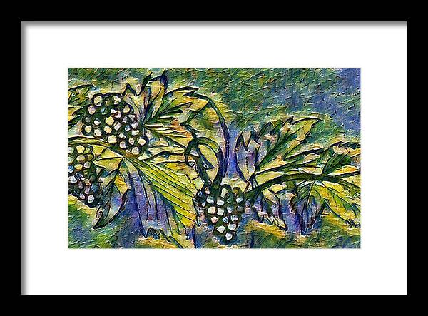 The Grape Vine - Framed Print