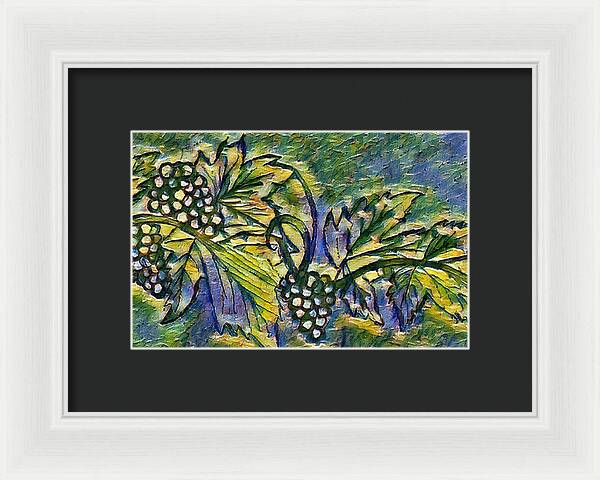 The Grape Vine - Framed Print