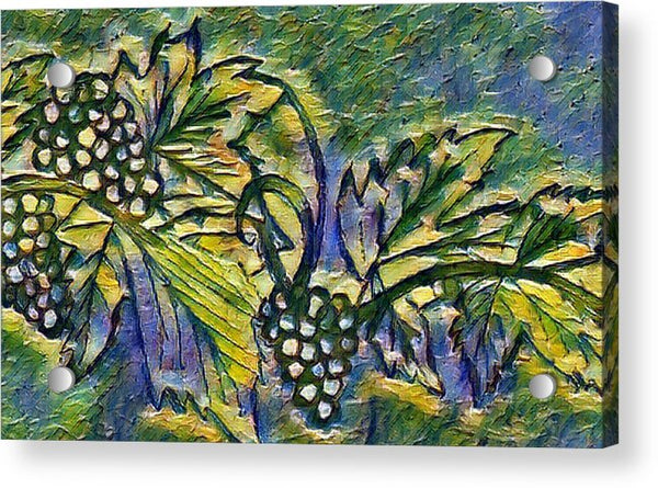 The Grape Vine by Sharmaine Rayner Acrylic Print