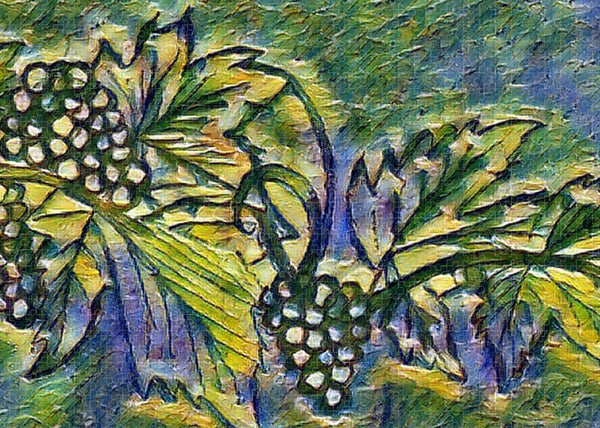 The Grape Vine - Puzzle