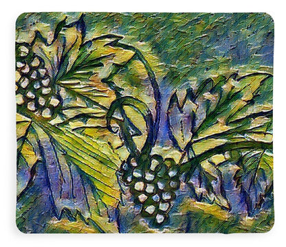 The Grape Vine - Blanket
