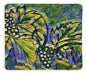 The Grape Vine - Blanket