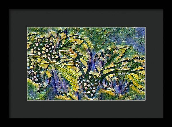 The Grape Vine - Framed Print