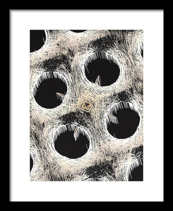 The Voids - Framed Print