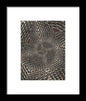 Twisted Steel - Framed Print