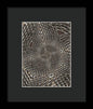 Twisted Steel - Framed Print