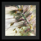 Foxtail - Framed Print