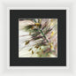 Foxtail - Framed Print