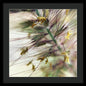 Foxtail - Framed Print