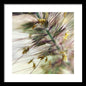 Foxtail - Framed Print