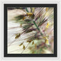 Foxtail - Framed Print