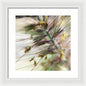 Foxtail - Framed Print