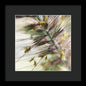 Foxtail - Framed Print