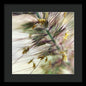 Foxtail - Framed Print