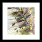 Foxtail - Framed Print