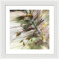 Foxtail - Framed Print